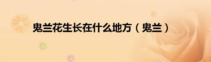 鬼兰花生长在什么地方（鬼兰）