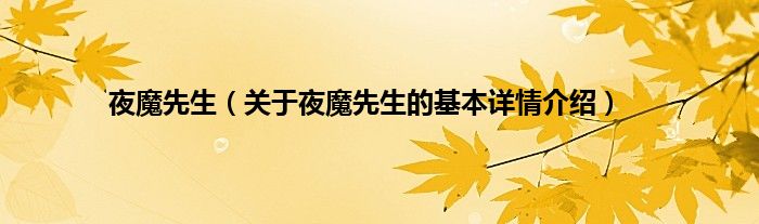 夜魔先生（关于夜魔先生的基本详情介绍）