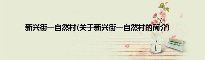 新兴街一自然村(关于新兴街一自然村的简介)