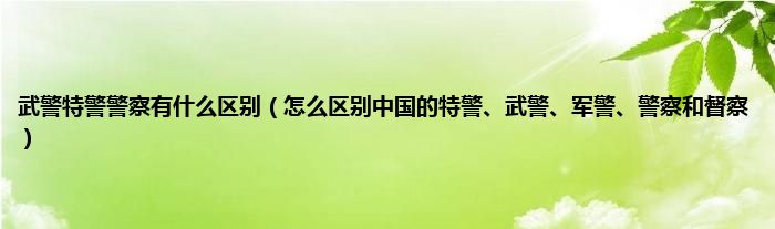 武警特警警察有什么区别（怎么区别中国的特警、武警、军警、警察和督察）