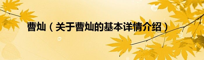 曹灿（关于曹灿的基本详情介绍）