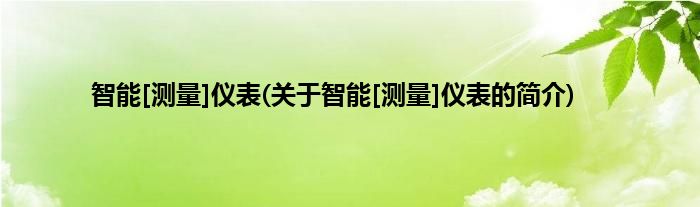 智能[测量]仪表(关于智能[测量]仪表的简介)