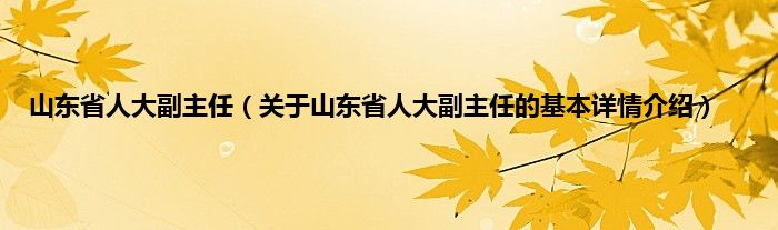 山东省人大副主任（关于山东省人大副主任的基本详情介绍）