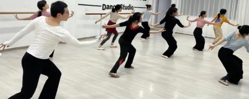 新县成人舞蹈培训班有哪些